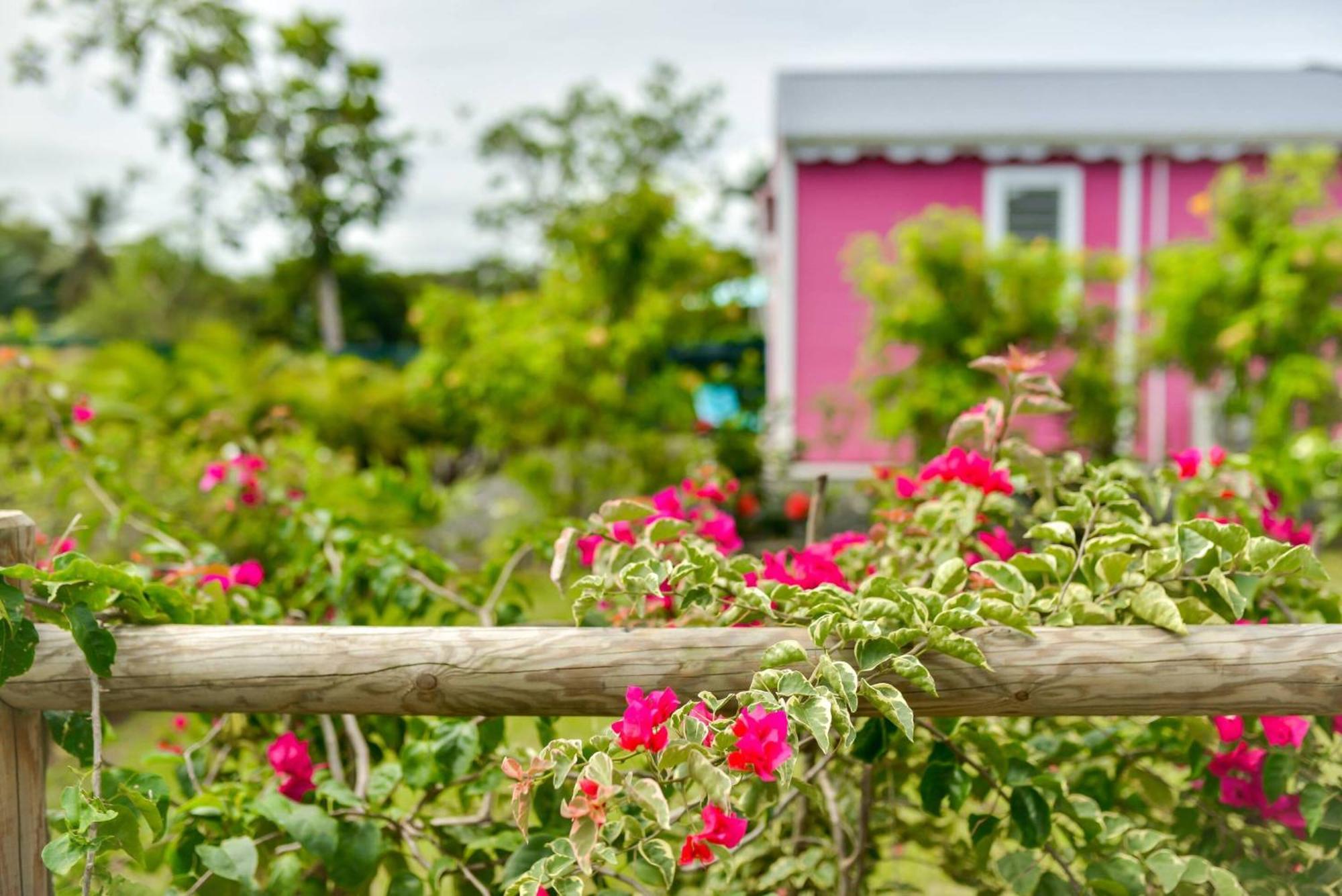 Les Jardins De Chantilly -Bungalows 4 Etoiles Avec Jardins Et Piscines Privees ベ・マオー 部屋 写真